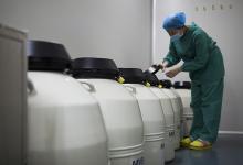 中科院專家：器官凍存尚未成功，所謂人體凍存更接近遺體保存