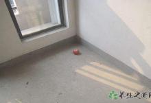 臺東縣發(fā)生地震 地震來臨該怎么做