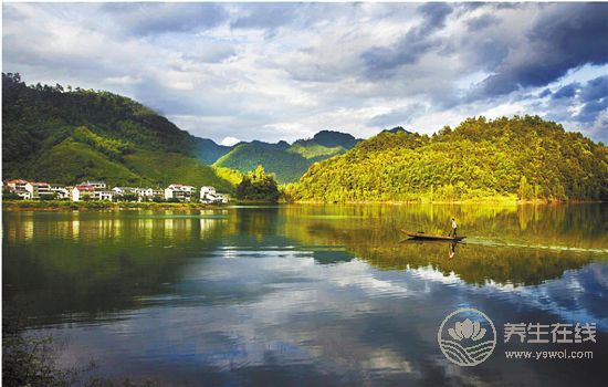 中藥文化開啟一段岐黃養(yǎng)生—“百草臨岐”之旅 中藥文化開啟一段岐黃養(yǎng)生—“百草臨岐”之旅