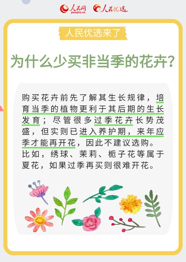 室內花卉綠植怎么選？實用小貼士請查收