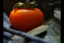 秋季如何養肺,4種水果不可少！