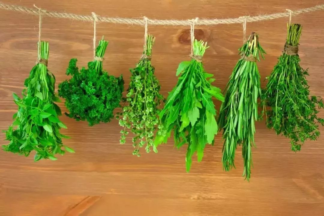 春天一定要吃的十四大黃金野菜