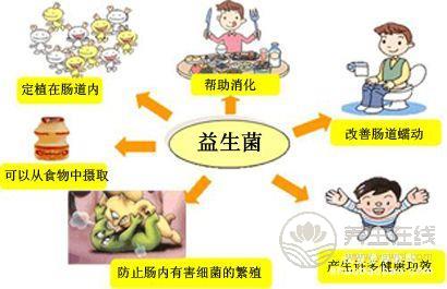 補(bǔ)充益生菌的好處！生活中7種食物富含益生菌