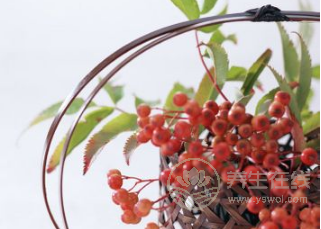 神經衰弱怎么治？試試治療偏方