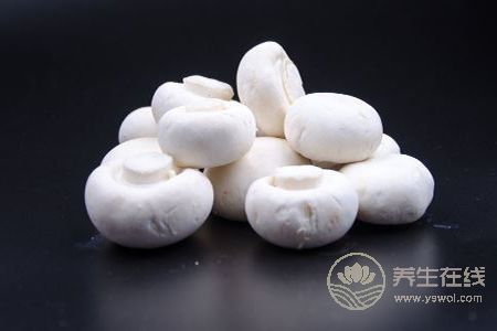 女人吃哪些蛋白質食物能減肥