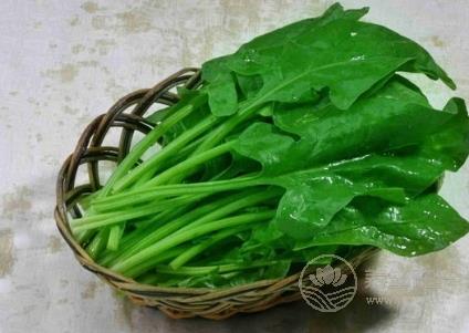 當(dāng)心！！這7種蔬菜沒煮熟似砒霜