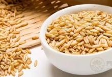 都說燕麥?zhǔn)菭I養(yǎng)之王，但你知道該如何選？如何吃嗎？