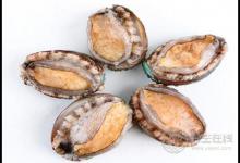 生蠔和鮑魚哪個好吃,鮑魚和生蠔的區別圖
