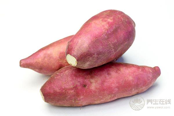 吃5種食物可以讓你快速排便 吃5種食物可以讓你快速排便
