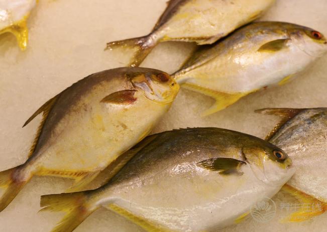魚肉鮮嫩可口，6種常見魚類的養生作用，你不得不知