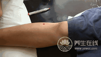 要想脾胃好,可經常艾灸這2個穴位 要想脾胃好,可經常艾灸這2個穴位
