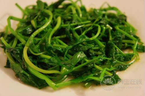 豌豆渾身都是寶,教你3個健康美味做法 豌豆渾身都是寶,教你3個健康美味做法