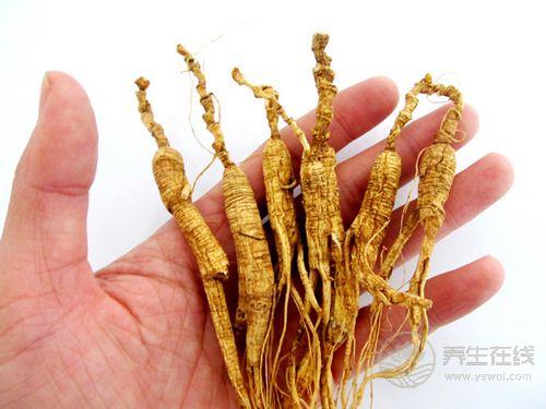 介紹野山參的吃法和禁忌，會吃更滋補
