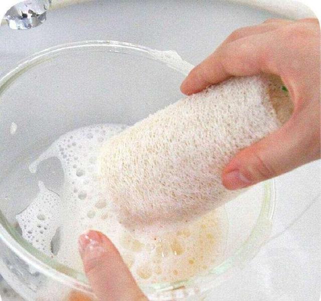 養生專家:女孩經常吃絲瓜,4個好處找上門 養生專家:女孩經常吃絲瓜,4個好處找上門