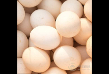 腎不好，別急著吃藥，這3種食物，能助你腎好人不倒