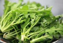 這些植蔬藥食兩用