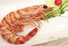 蝦不能和什么食物一起吃？