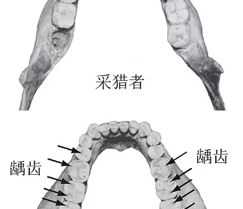 換種吃法更健康：什么是“原始飲食”？