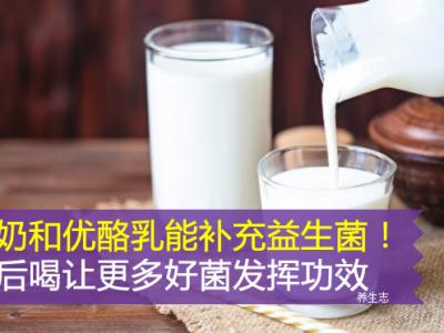 酸奶和優酪乳能補充益生菌！餐后喝讓大量好菌發揮作用