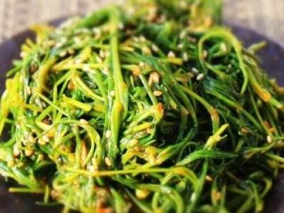 海蓬菜什么樣的人不應多食 海蓬菜的禁忌