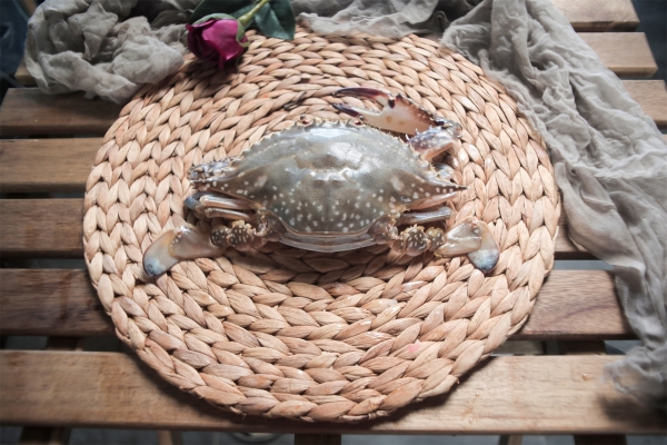 梭子蟹開鍋蒸多久最佳時間 六兩梭子蟹蒸多久-易網健康<a href=http://www.weilaijie.cn/jkys/ target=_blank class=infotextkey>養生</a>網 梭子蟹開鍋蒸多久最佳時間 六兩梭子蟹蒸多久