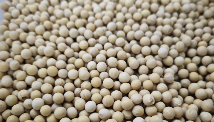 大豆低聚糖的作用與功效