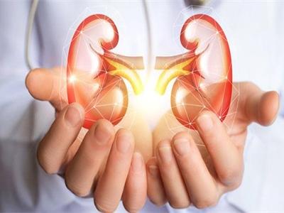 女性腎虛的表現(xiàn)，腎虛吃什么食物能補(bǔ)現(xiàn)在知道還不晚