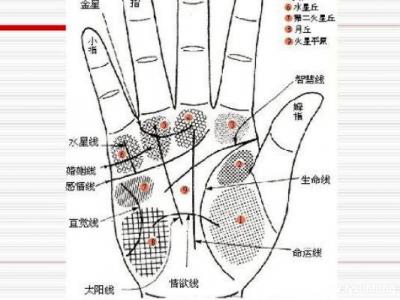 掌紋圖解女右手詳解圖片，事業(yè)線到中指根部會有所成就