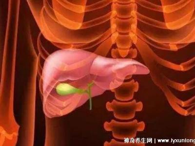膽囊息肉最怕三種運(yùn)動(dòng)，散步/游泳/瑜伽(千萬(wàn)別舉重爬山)