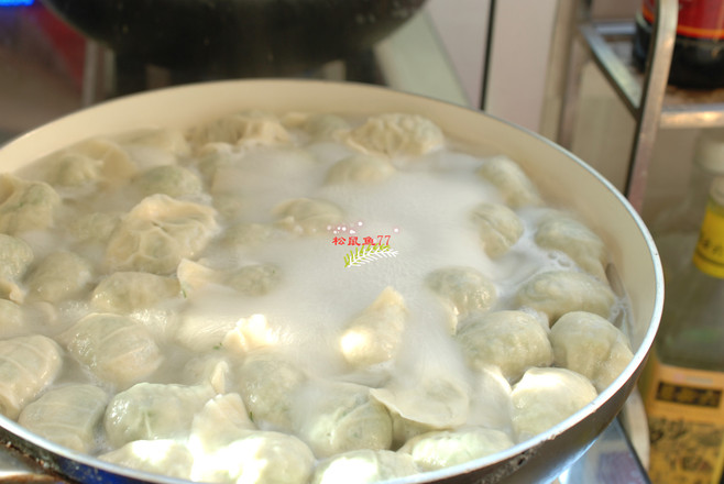 牛肉茴香水餃的做法-家常味煮菜譜