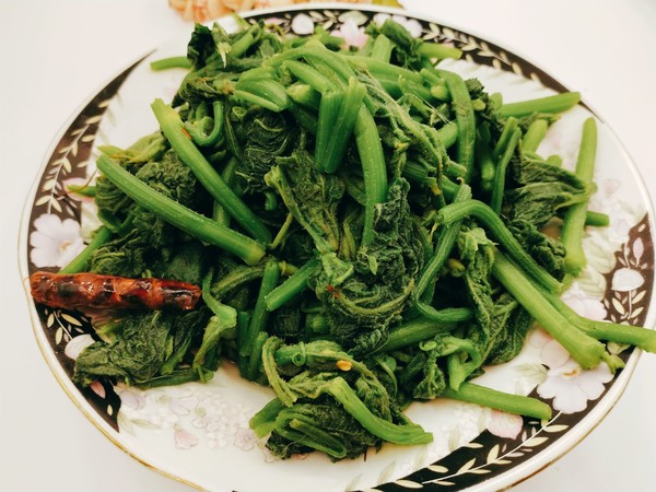 爆炒南瓜尖的做法-咸鮮味炒菜譜