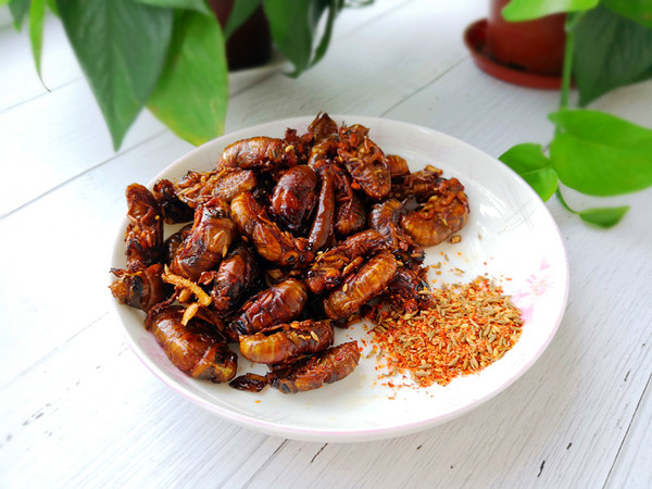煎金蟬的做法-家常味煎菜譜-易網(wǎng)健康養(yǎng)生網(wǎng) 煎金蟬的做法-家常味煎菜譜