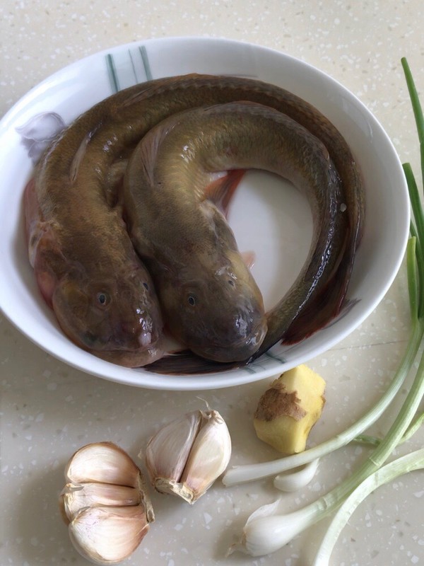 醬油水海蠣魚(yú)的做法-咸鮮味煮菜譜