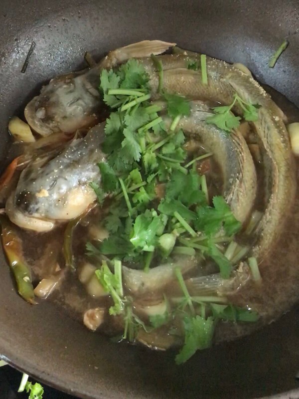 醬油水海蠣魚(yú)的做法-咸鮮味煮菜譜