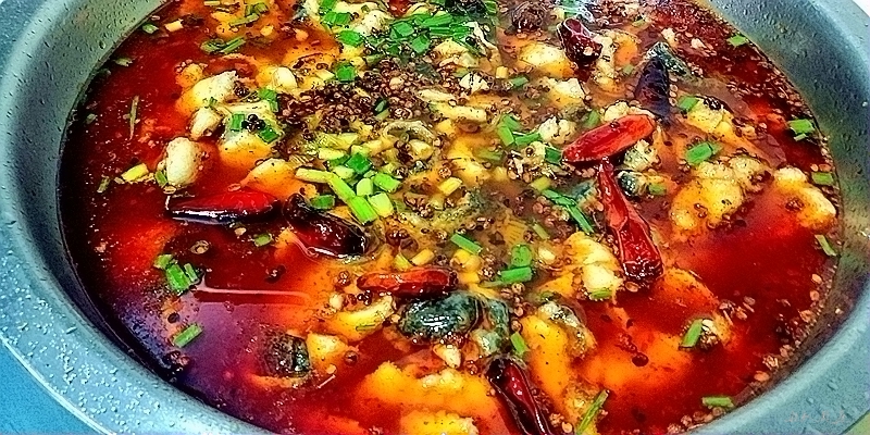 水煮魚蛙的做法-麻辣味煮菜譜-易網健康養生網 水煮魚蛙的做法-麻辣味煮菜譜