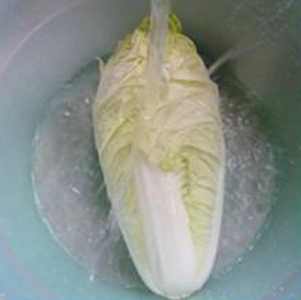 胡蘿卜炒黃芽菜的做法-家常味炒菜譜