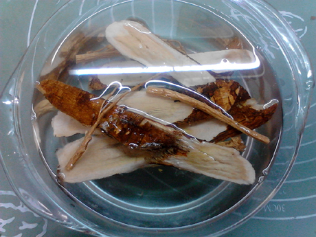 參芪猴菇燉雞的做法-咸鮮味燉菜譜-易網健康養生網 參芪猴菇燉雞的做法-咸鮮味燉菜譜