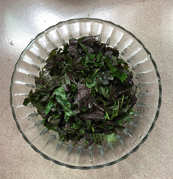 紫蘇煎雞蛋的做法-家常味煎菜譜-易網健康養生網 紫蘇煎雞蛋的做法-家常味煎菜譜