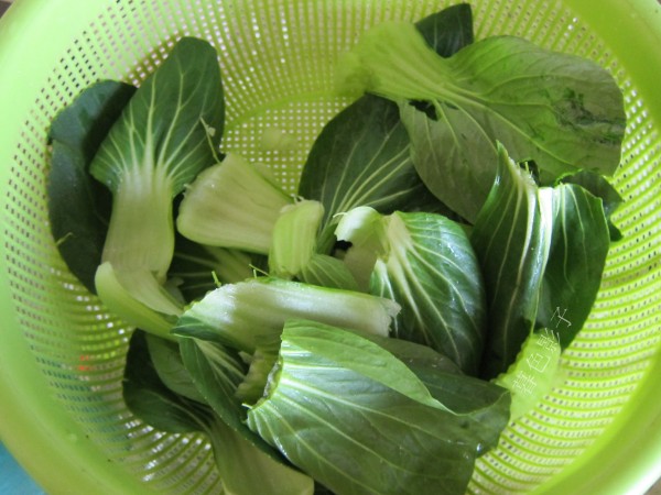 油菜炒扇貝柱的做法-咸鮮味炒菜譜-易網<a href=http://www.weilaijie.cn/ target=_blank class=infotextkey>健康養生</a>網 油菜炒扇貝柱的做法-咸鮮味炒菜譜