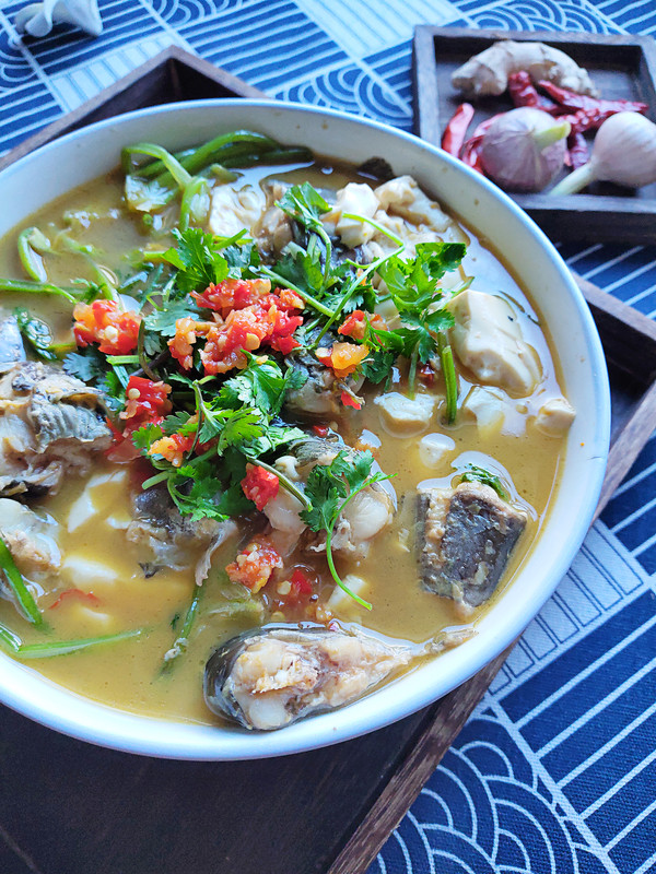 鯰魚燒豆腐的做法-咸鮮味燒菜譜-易網健康養生網 鯰魚燒豆腐的做法-咸鮮味燒菜譜