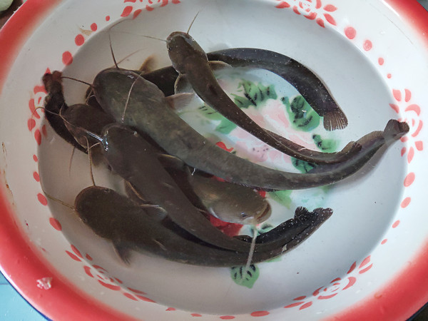 鯰魚燒豆腐的做法-咸鮮味燒菜譜