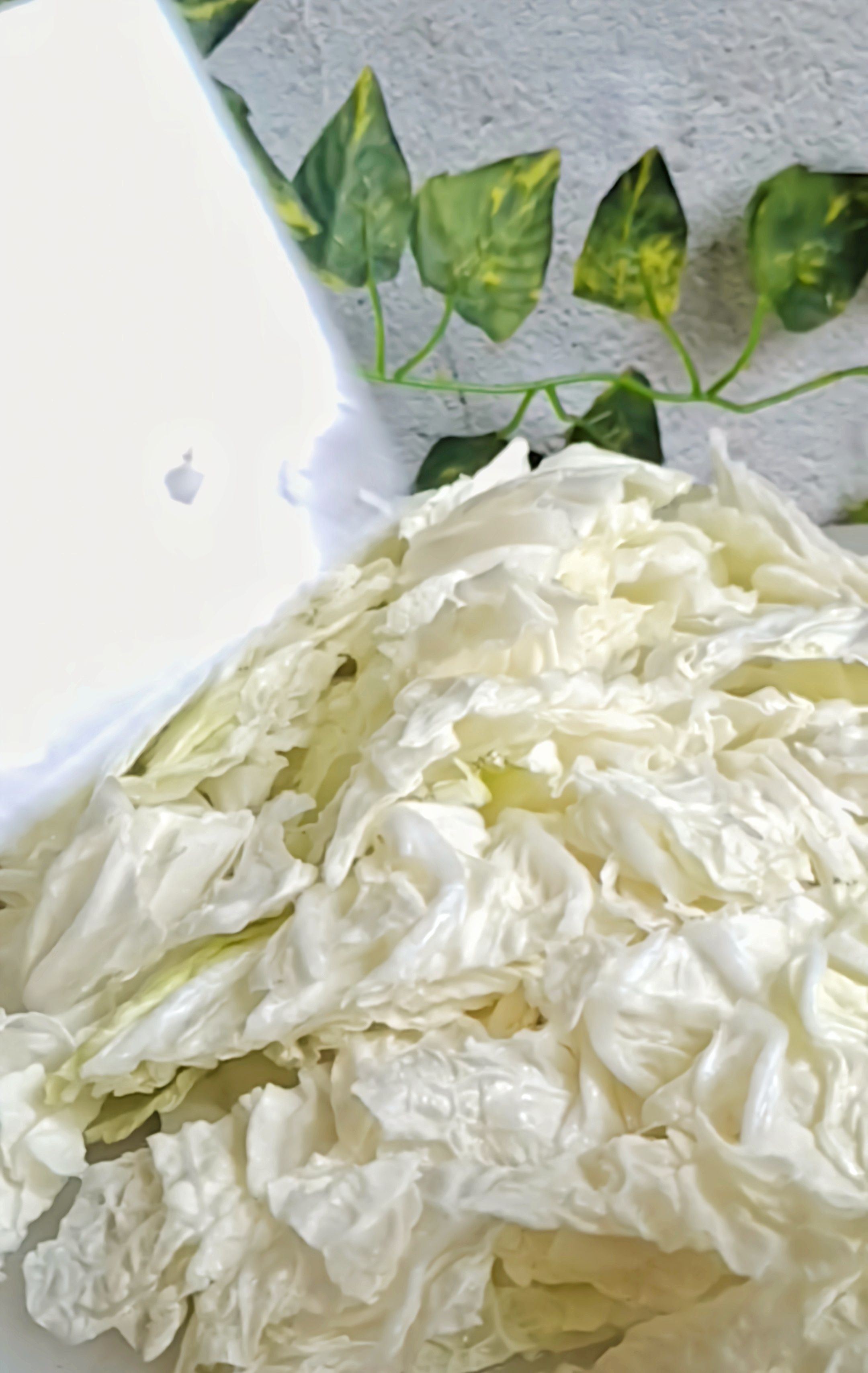 最家常的冬季暖鍋,百吃不厭~白菜粉條牛肉鍋的做法-咸鮮味煮菜譜-易網健康養生網 最家常的冬季暖鍋,百吃不厭~白菜粉條牛肉鍋的做法-咸鮮味煮菜譜