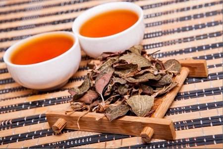 金線蓮的六大功效與作用，清熱養(yǎng)顏幫你去除痘痘粉刺