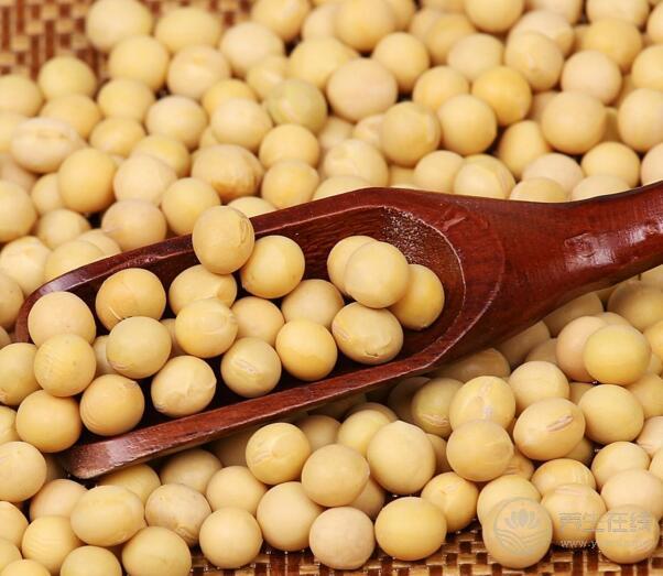 霜降后，養(yǎng)生吃這5種食物最合適