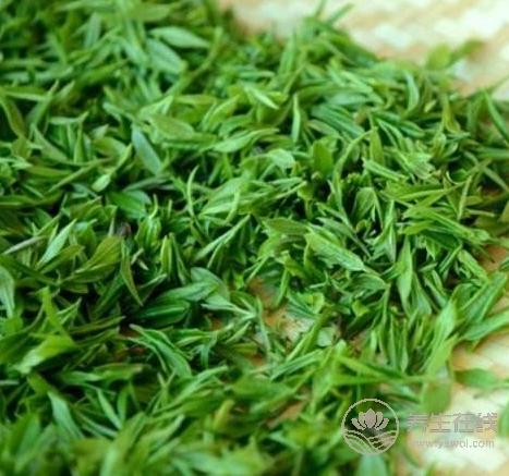 清明茶什么時候采？喝清明茶有哪些好處
