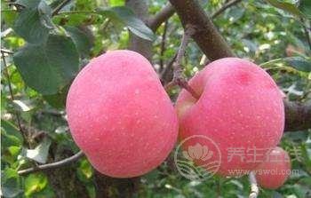 夏季要多吃七大紅色果蔬