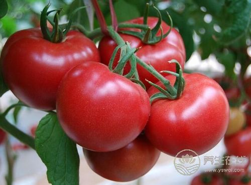 夏季多吃幾種水果,生津止渴 夏季多吃幾種水果,生津止渴
