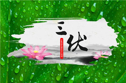 三伏天該怎么吃？對抗炎熱夏季的飲食攻略，我來教你清爽又健康！