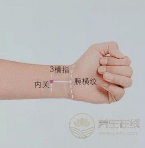春節長假至，出游如何不暈車？試試這7招