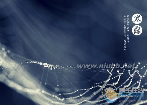 2019年什么時(shí)候寒露 寒露時(shí)間幾點(diǎn)幾分
